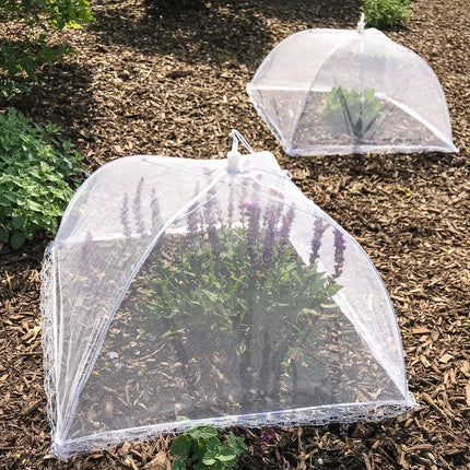 Pop-Up Mesh Food Cover Tent Umbrella Large 43 x 43cm Reusable Collapsible 4 pack