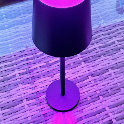 Cordless LED Table Lamp RGB Rechargeable Desk Light IP54 Touch Dimmable 2 Pack