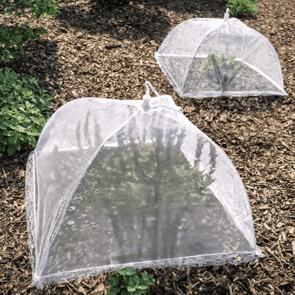 Keep Bugs Away! Large Pop-Up Mesh Food Tent 4 Pack, Collapsible & Reusable