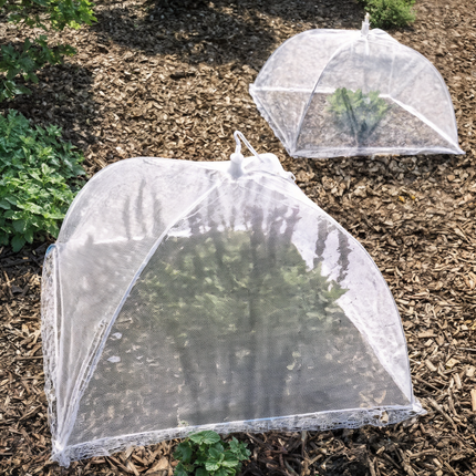 Keep Bugs Away! Large Pop-Up Mesh Food Tent 4 Pack, Collapsible & Reusable